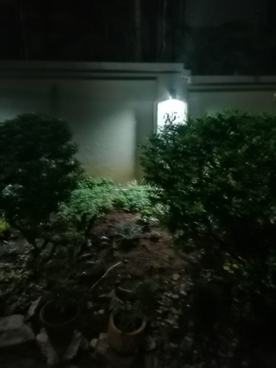 Repaired garden wall light switched on at night